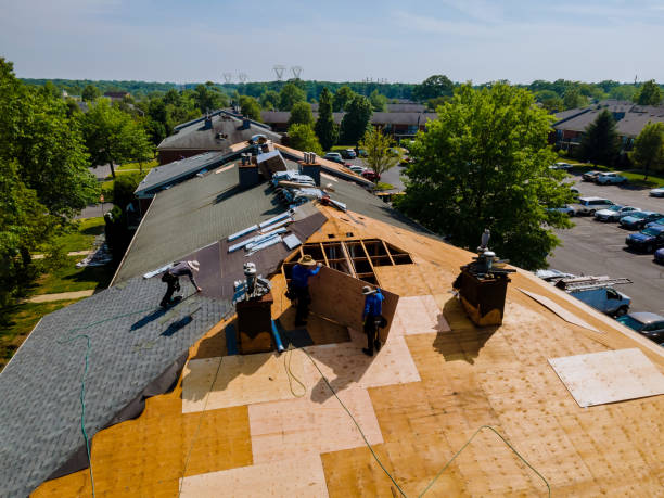 Roof Gutter Cleaning in Toccoa, GA