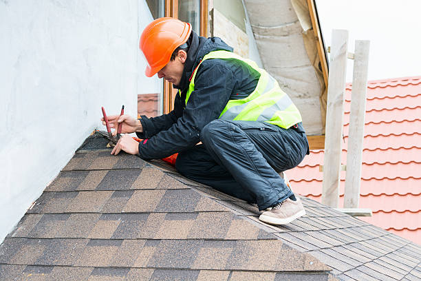 Best Roof Maintenance Services  in Toccoa, GA